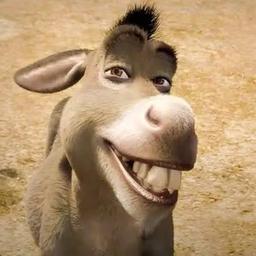 burro sherk 