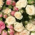 ПЫВым\чсмап