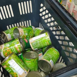 फिर लगने जा रहा है नटवा का ऐतिहासिक 