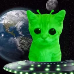 Alien cat