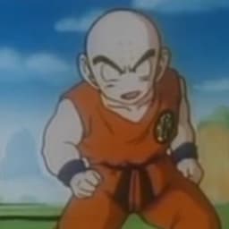 Krilin pt pt