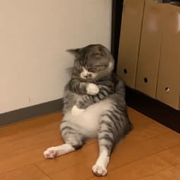 Voz valor de la verdad