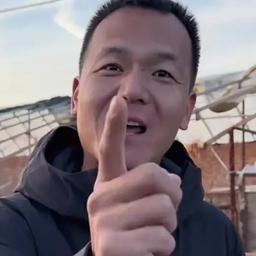 潘宏爱玩狗