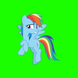 Rainbow dash