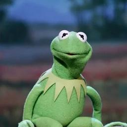 Seth's Kermit