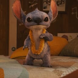 stitch