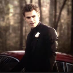 stefan salvatore 