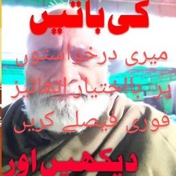Farhat 
