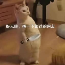 0123 北京五套房