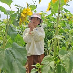 雪乐港商老茶头12.31-2纪颜美记护肤旗店