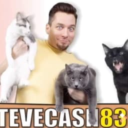 Steve Cash (talking kitty cat)