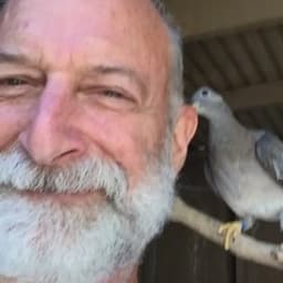 Andy Geller: Narrator