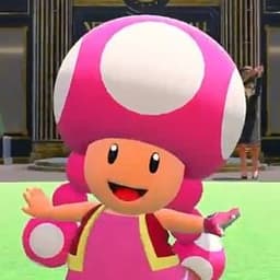 Toadette (Adjusted)
