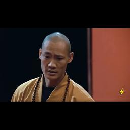 Maître Shaolin 1