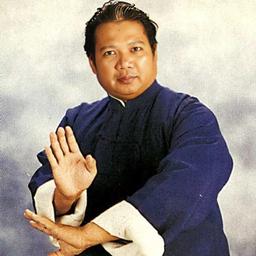 ip mamang
