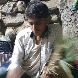 مصطفى المومري 