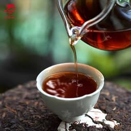 晨沐多品3.10-3.12吕爸3.7从新录制的