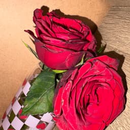 حسين الجسمي